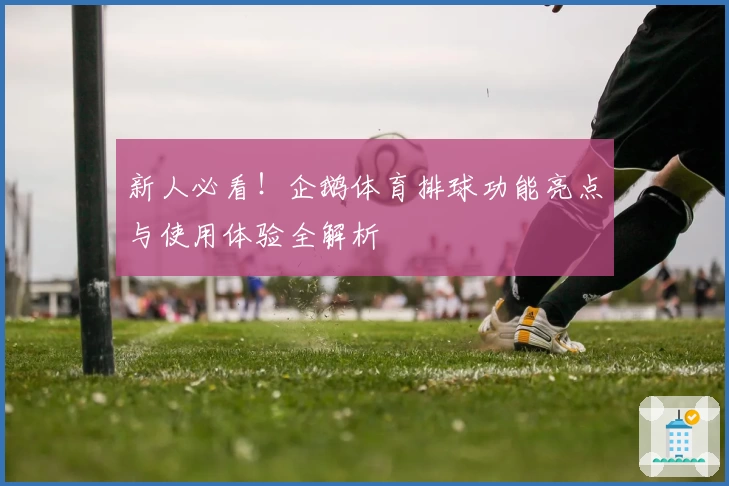 新人必看！企鹅体育排球功能亮点与使用体验全解析