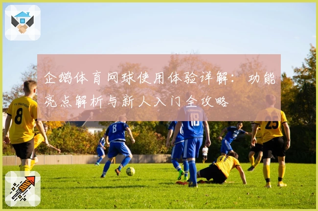 企鹅体育网球使用体验详解：功能亮点解析与新人入门全攻略