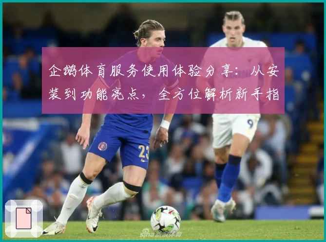 企鹅体育服务使用体验分享：从安装到功能亮点，全方位解析新手指南