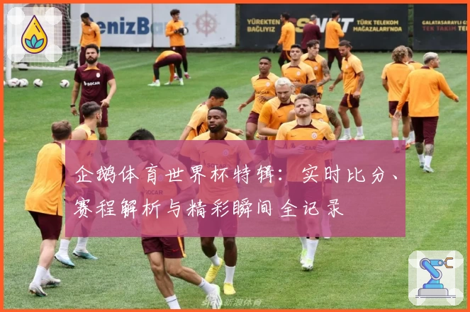 企鹅体育世界杯特辑：实时比分、赛程解析与精彩瞬间全记录