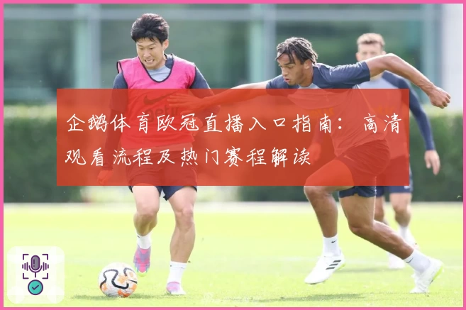 企鹅体育欧冠直播入口指南:高清观看流程及热门赛程解读