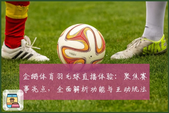 企鹅体育羽毛球直播体验:聚焦赛事亮点,全面解析功能与互动玩法